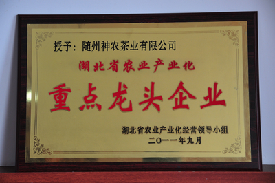 六会宝典资料大全