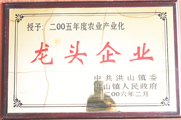 六会宝典资料大全