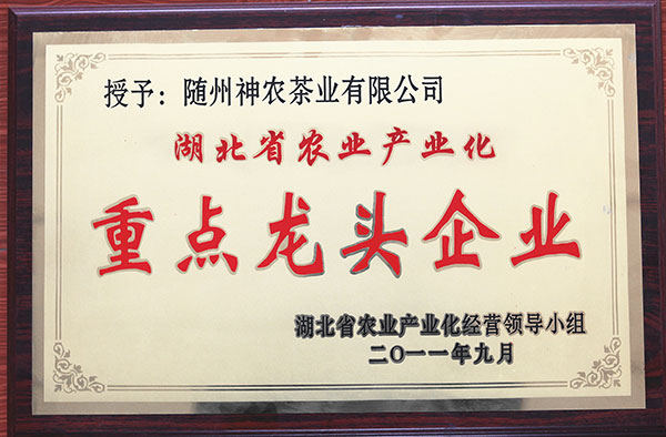 六会宝典资料大全