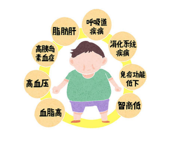 六会宝典资料大全