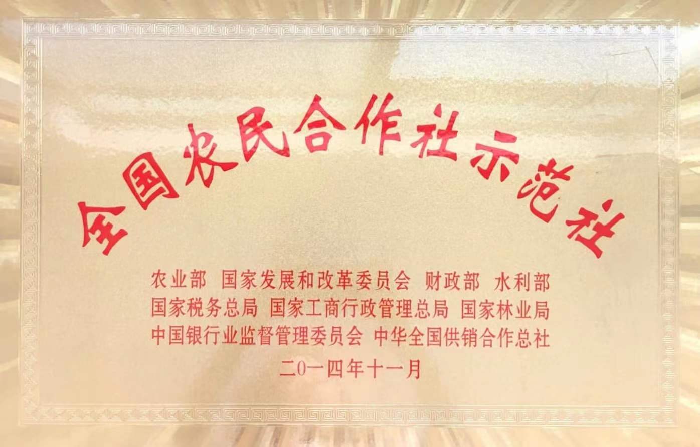 六会宝典资料大全