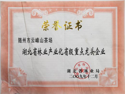六会宝典资料大全
