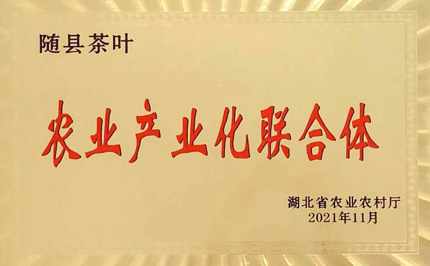 六会宝典资料大全
