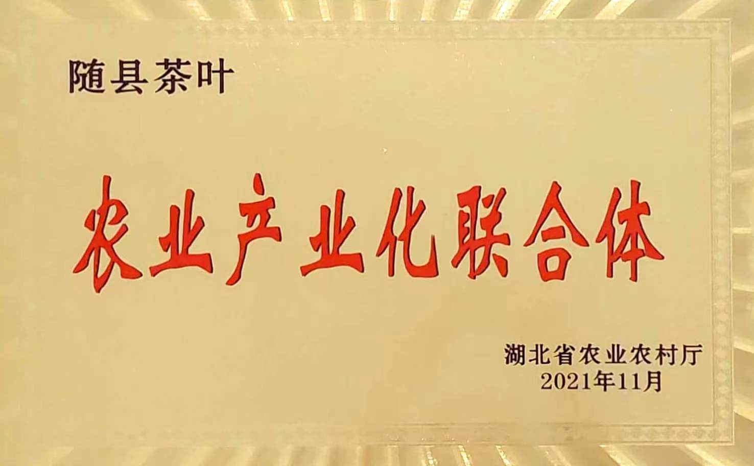 六会宝典资料大全