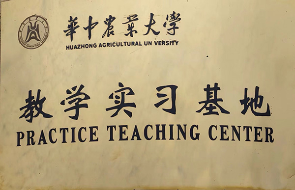 六会宝典资料大全