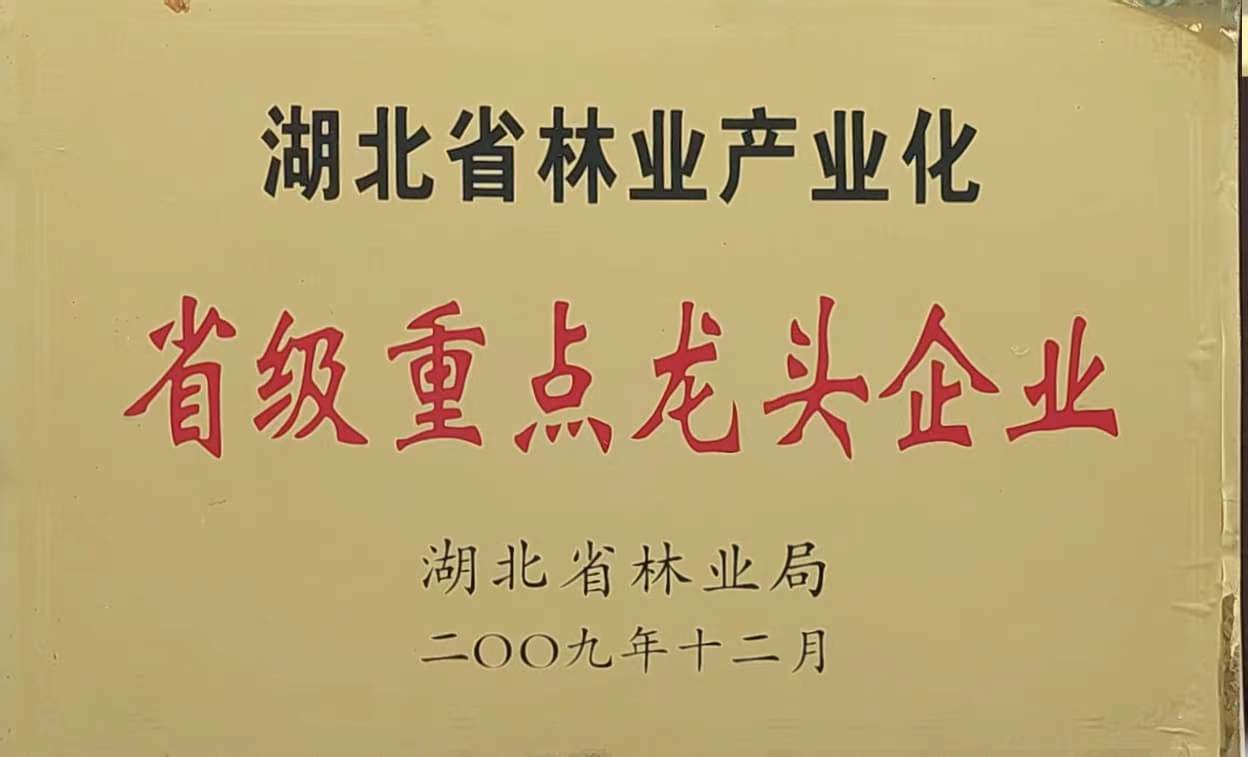 六会宝典资料大全