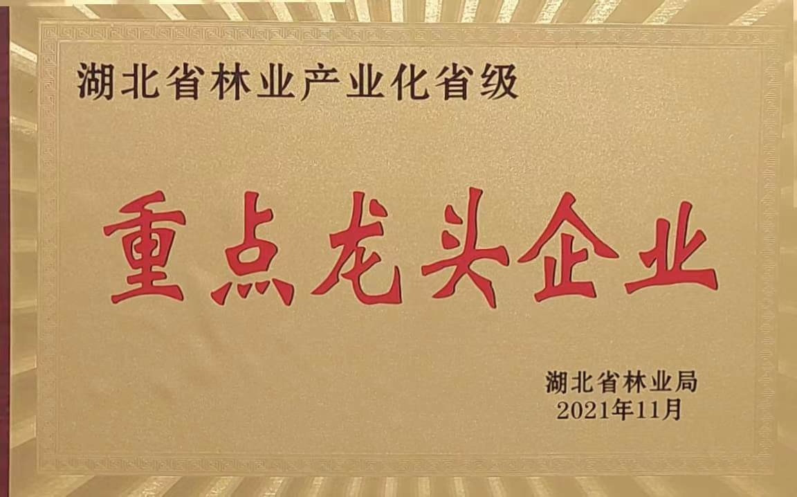 六会宝典资料大全