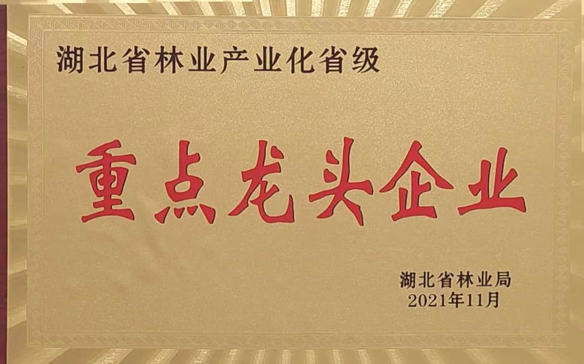 六会宝典资料大全