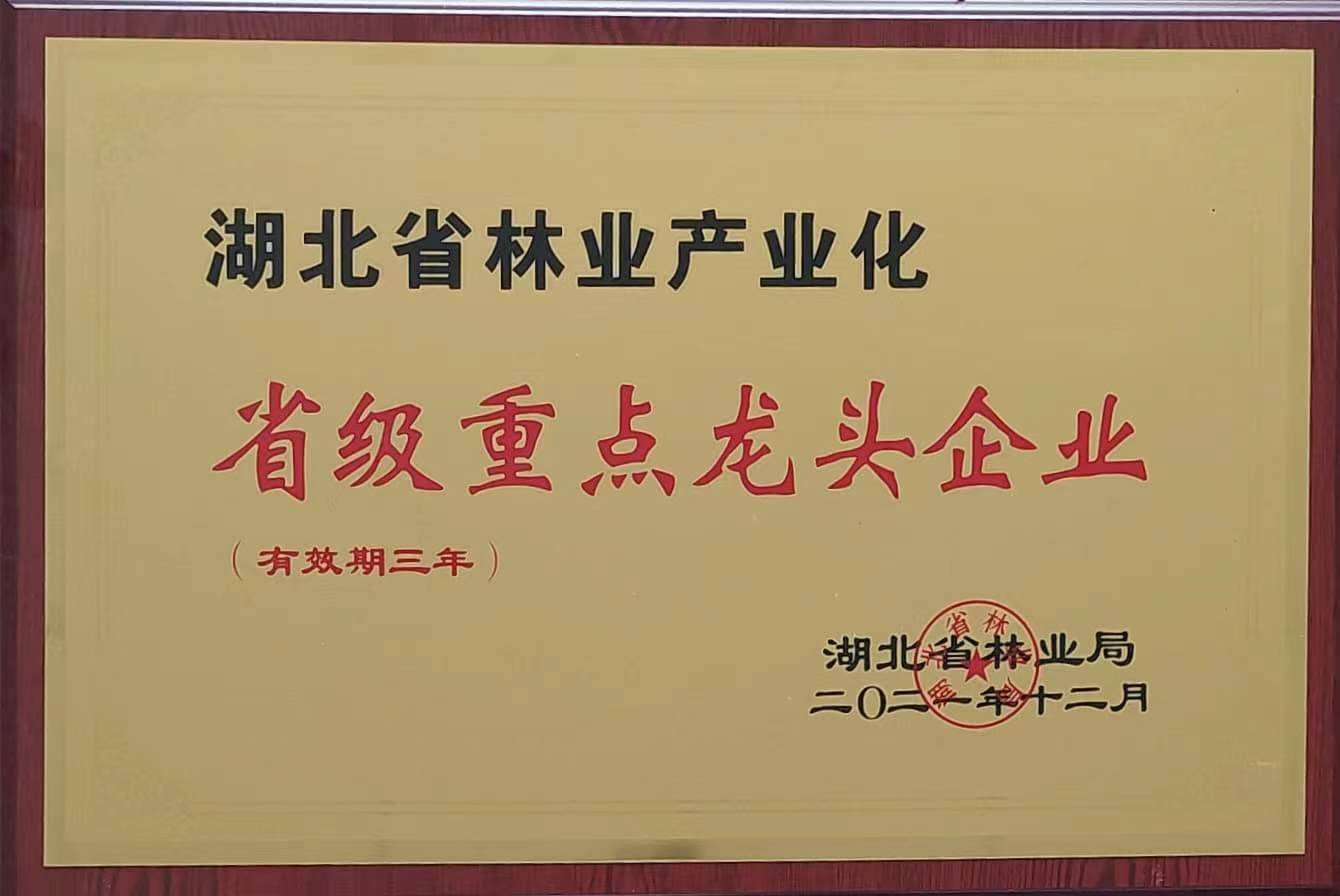 六会宝典资料大全