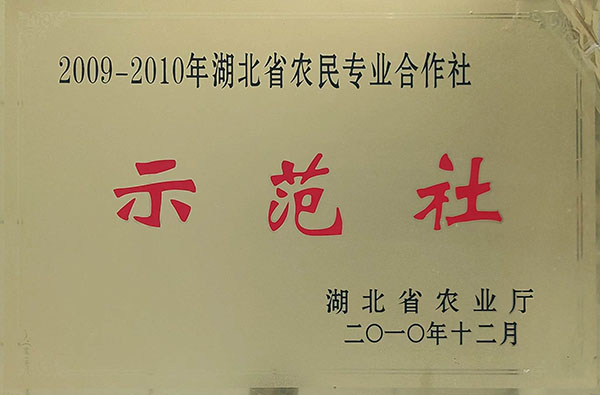 六会宝典资料大全