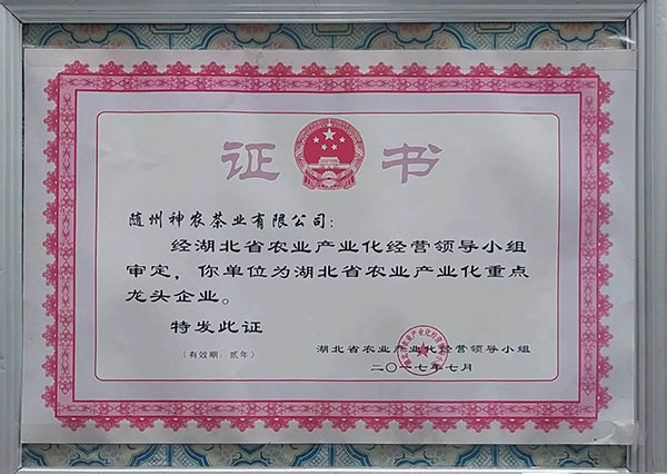 六会宝典资料大全