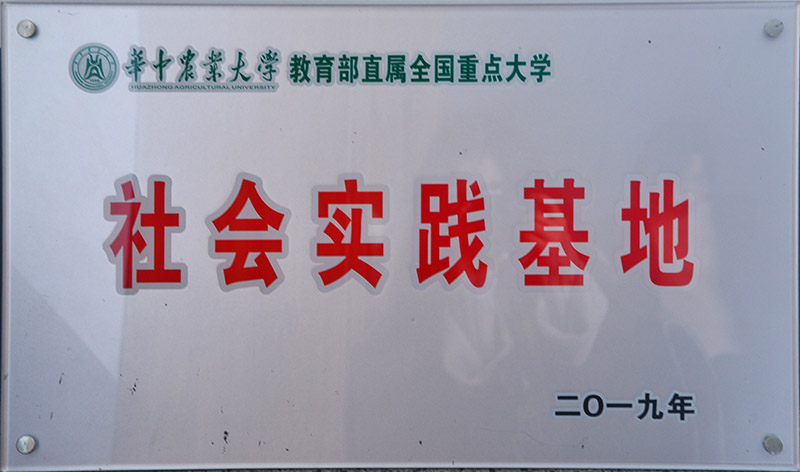 六会宝典资料大全