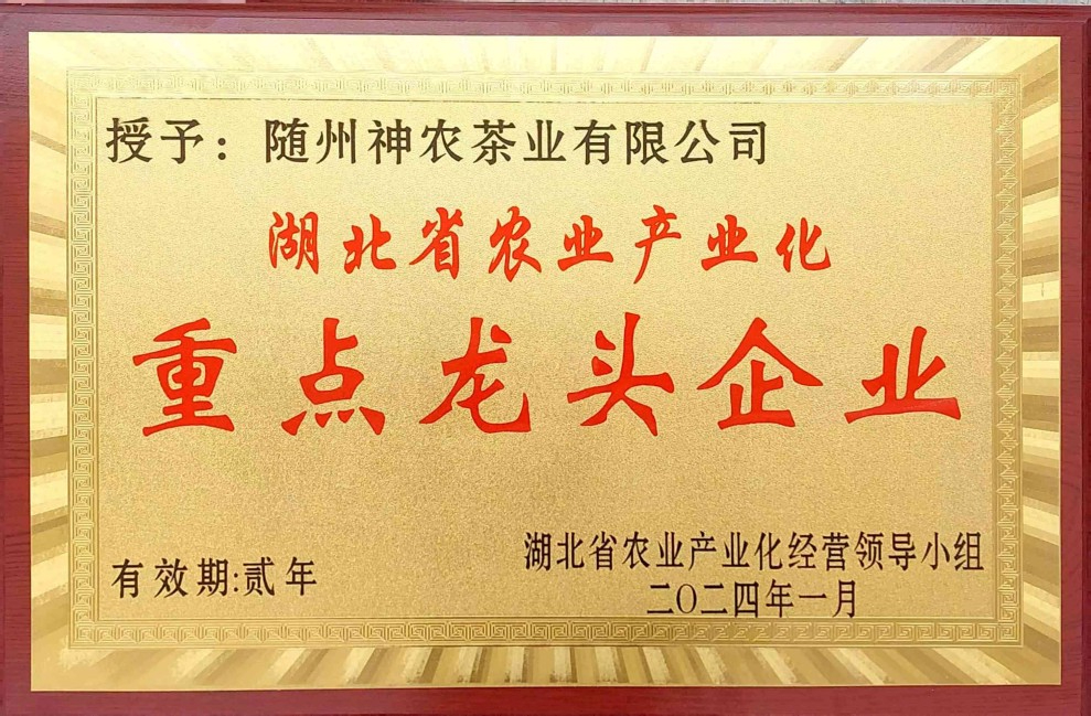 六会宝典资料大全